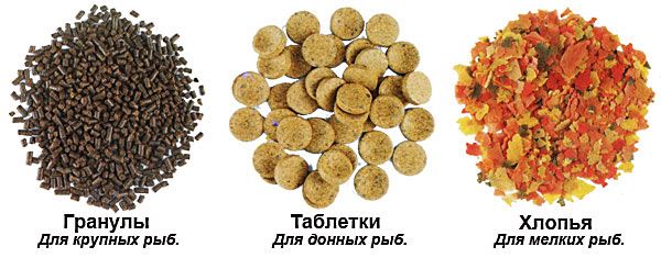 Види корму